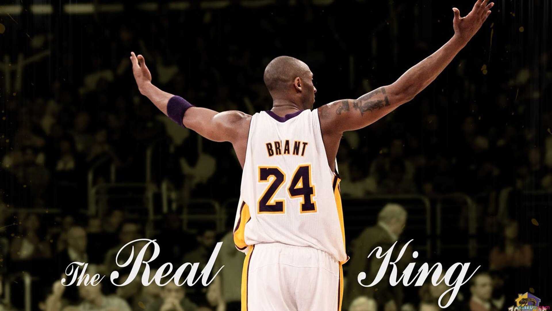 凯恩一剑封喉，摩纳哥全面压制伊朗背后的足球密码