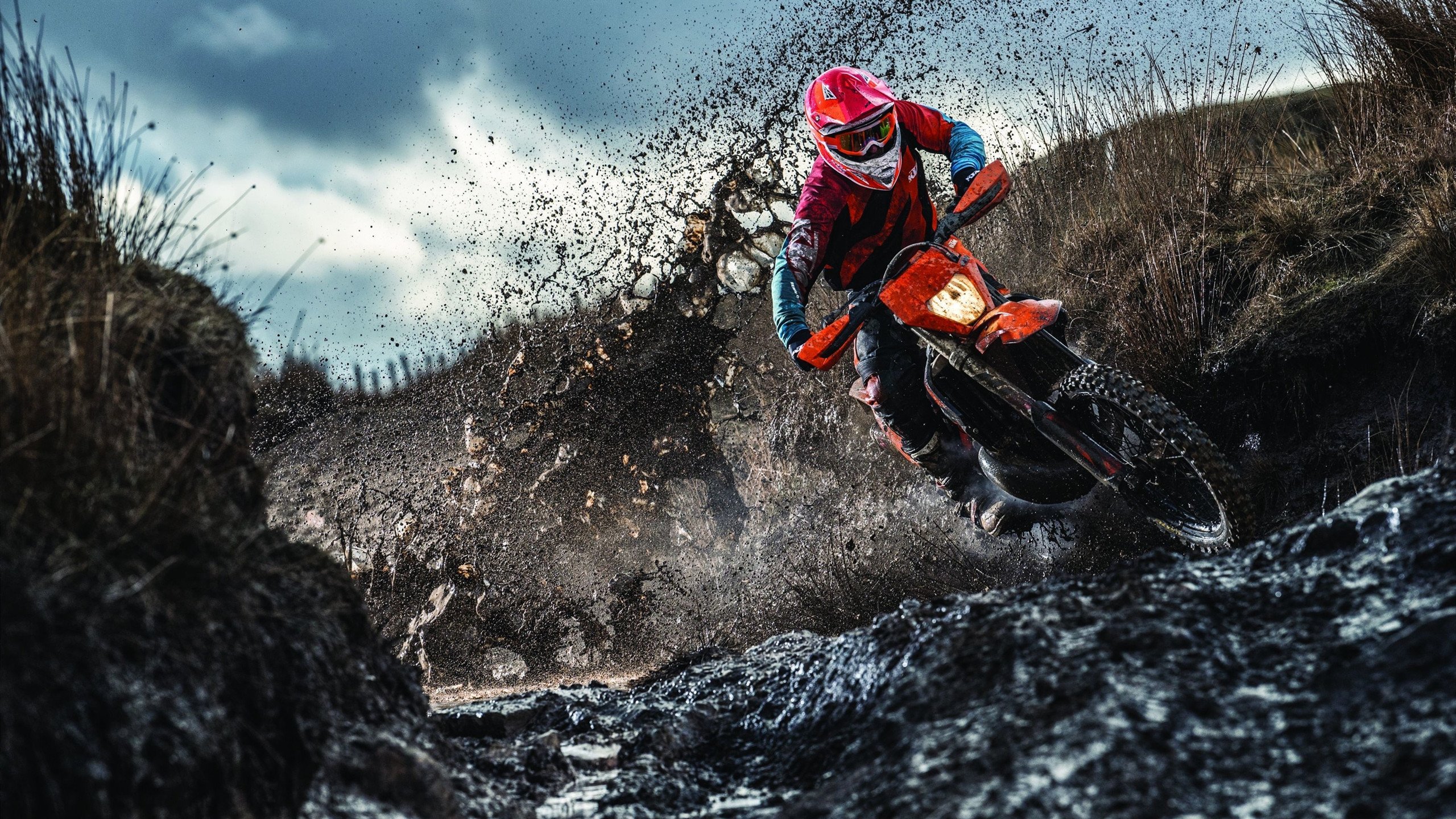 三笘薰，撕裂防线的关键先生，哥伦比亚速胜韩国的战术密钥